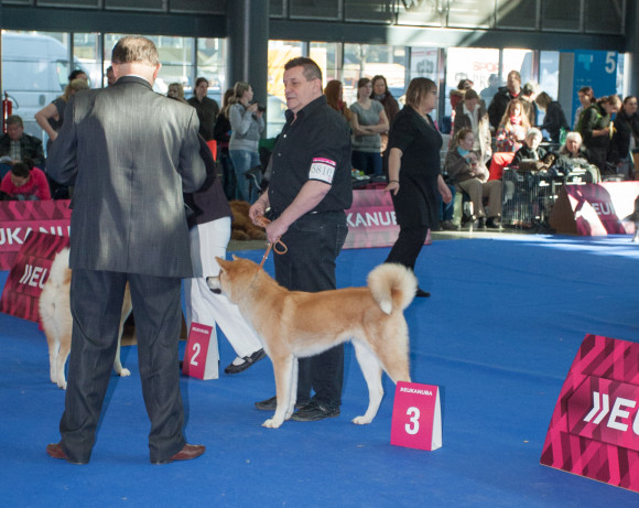 Výstava druhá – 4.-5.1.2014 Brno, IX.Hanácká národní