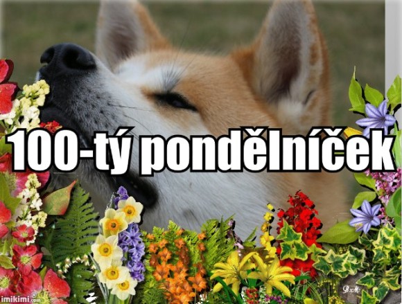 Jedno stý pondělníček (číslem 100 :))