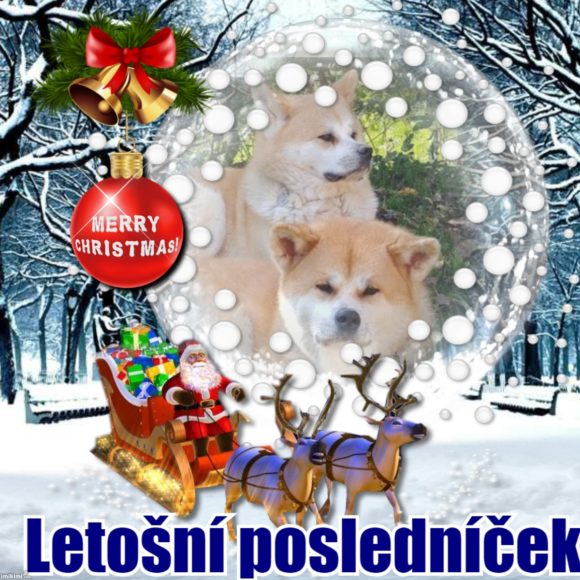 Letošní posledníček